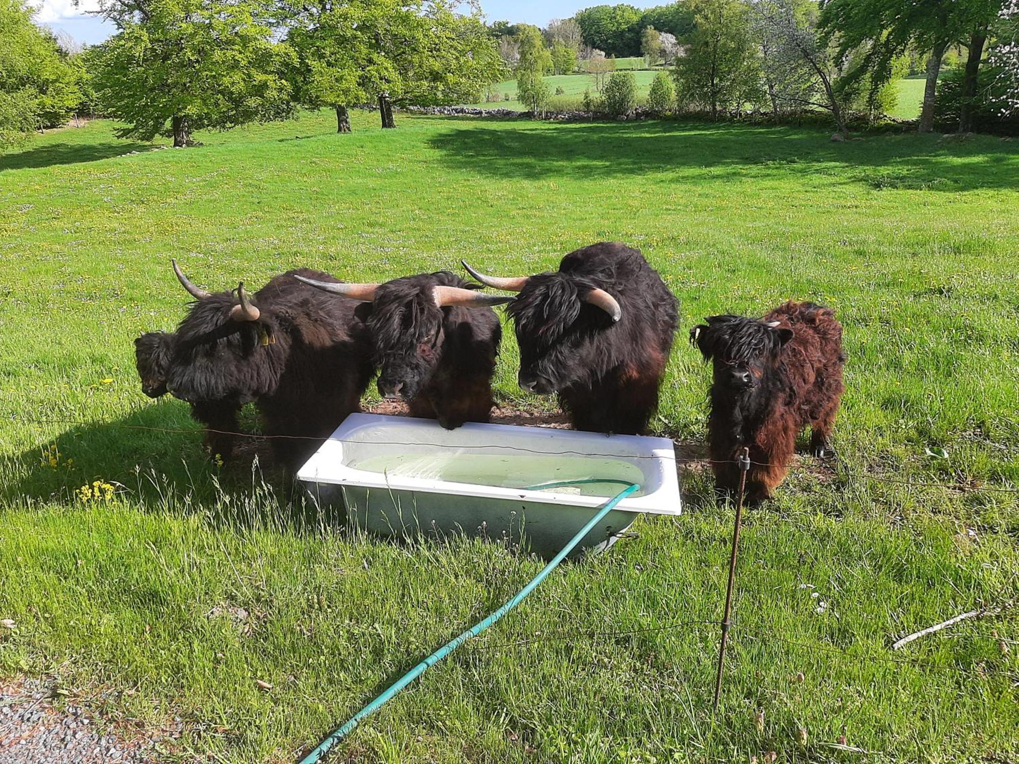Oesterlen Vitebro Bauernhof *